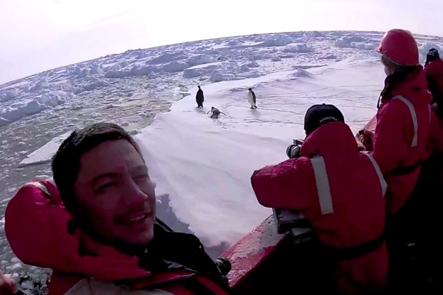 psumida antartica
