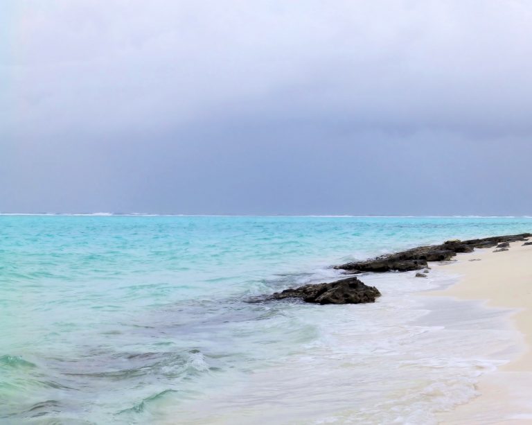sea-3416808-768x613.jpg